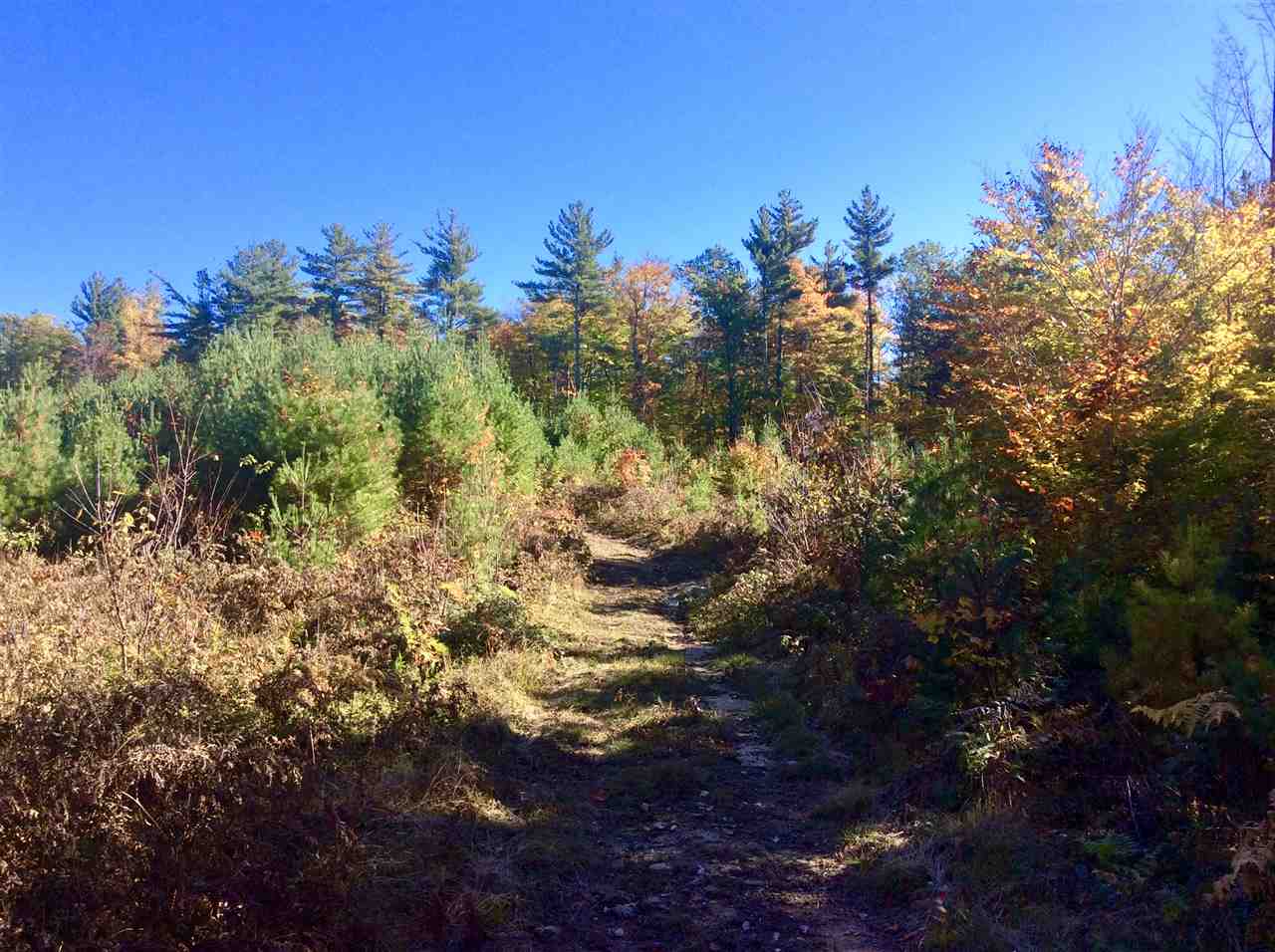 1720 East Madison Road Madison, NH 03849 - Photo 10 of 15