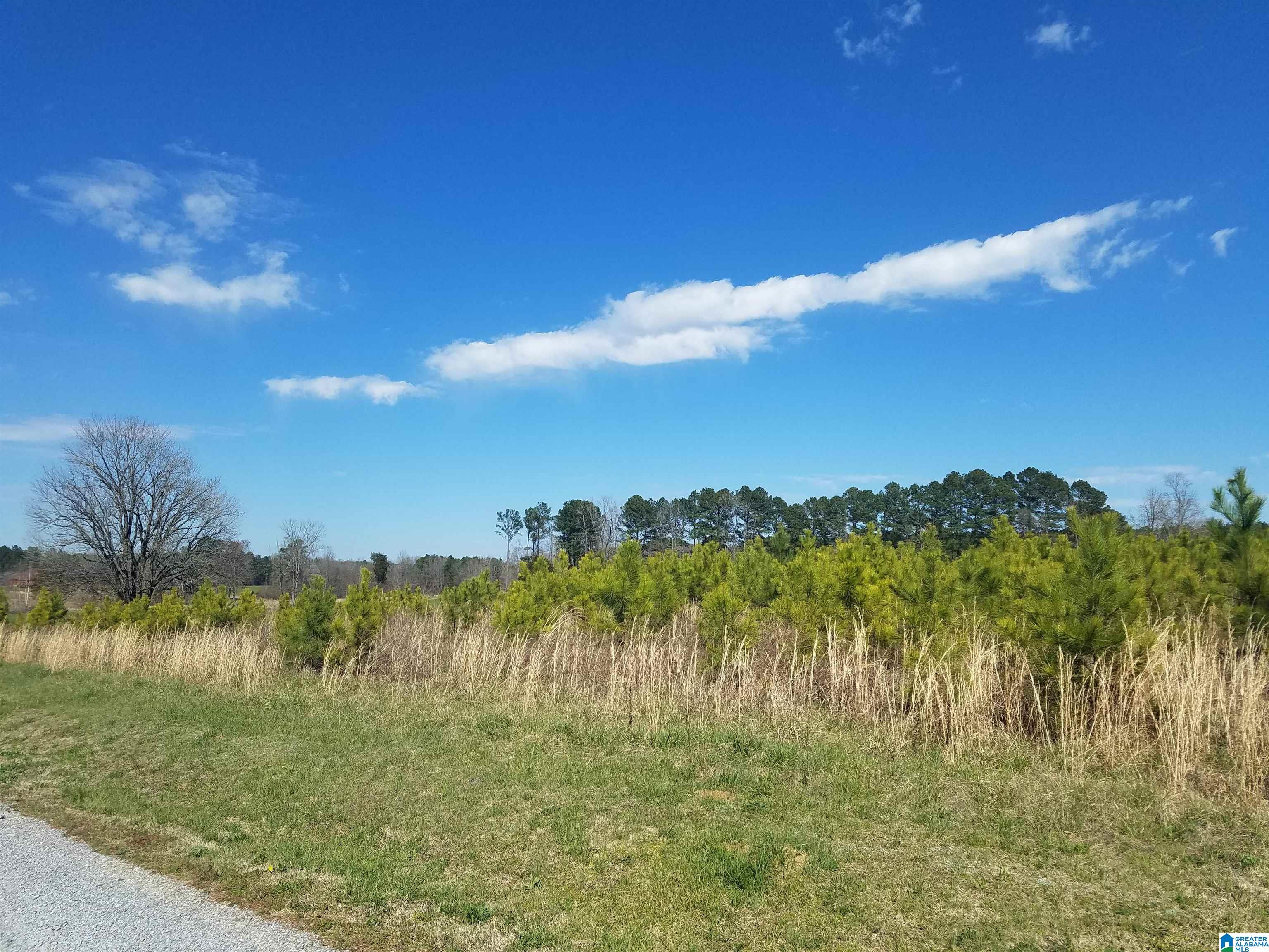 827 Low Water Bridge Road Cleveland, AL 35049 - Photo 9 of 10