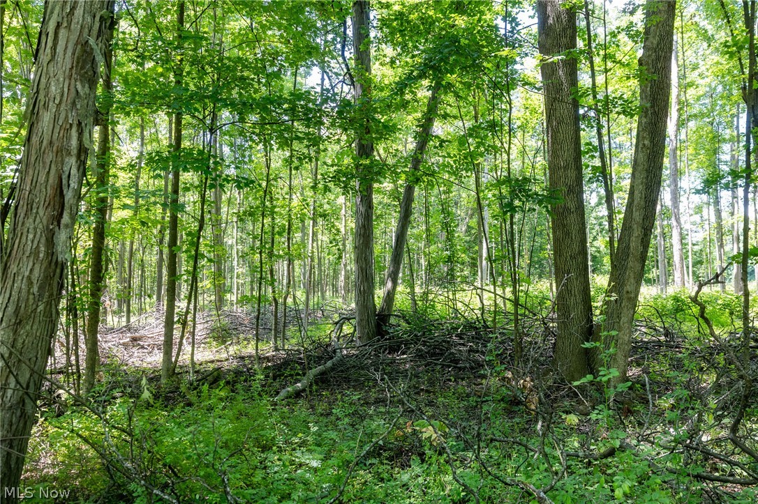 Wayland Road Diamond, OH 44412 - Photo 8 of 20