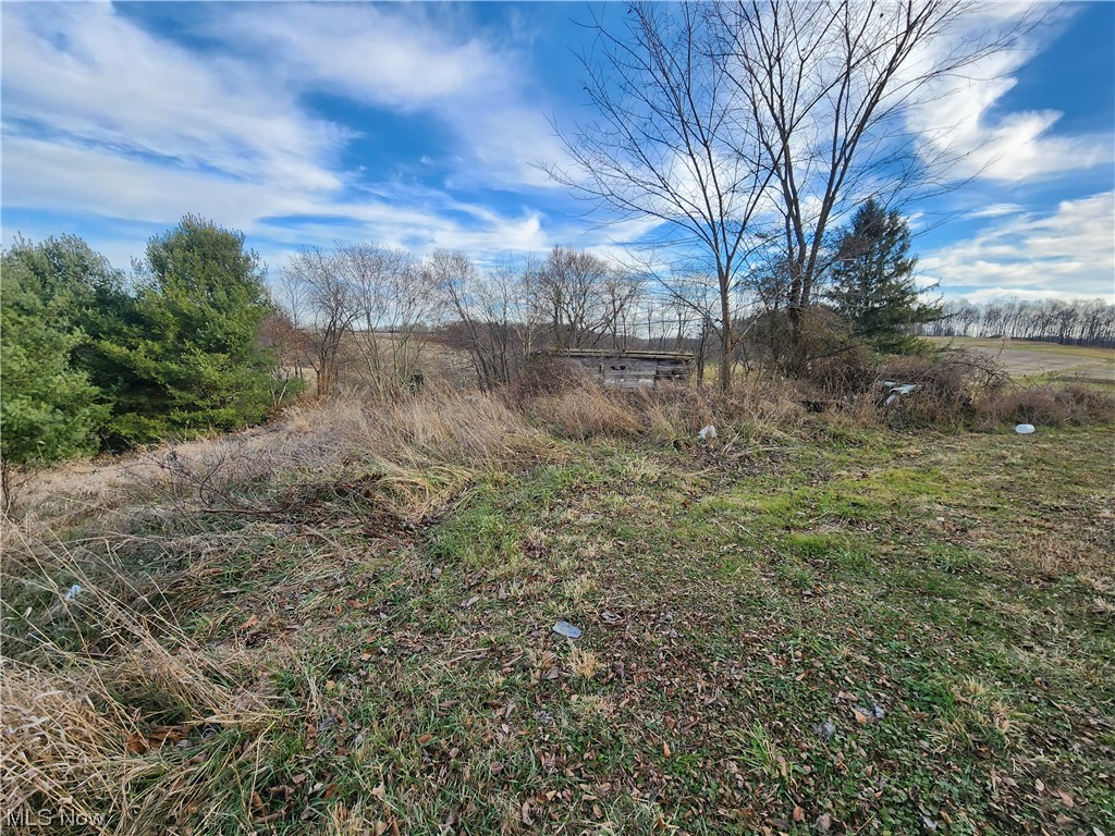 2196 Scio Road Carrollton, OH 44615 - Photo 4 of 18 View of yard with a rural view