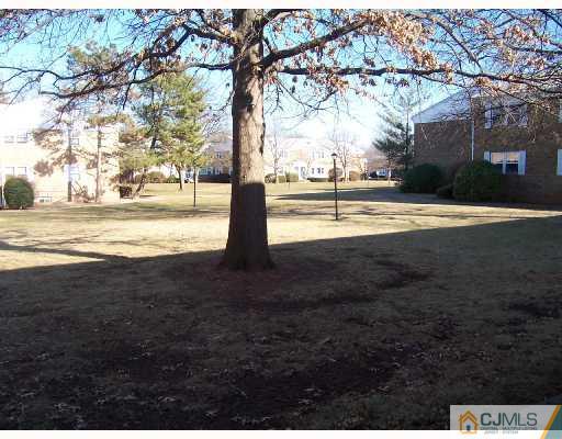 193 Evergreen Road, Unit 14B 14B Edison, NJ 08837 - Photo 8 of 8 Gallery Image 8