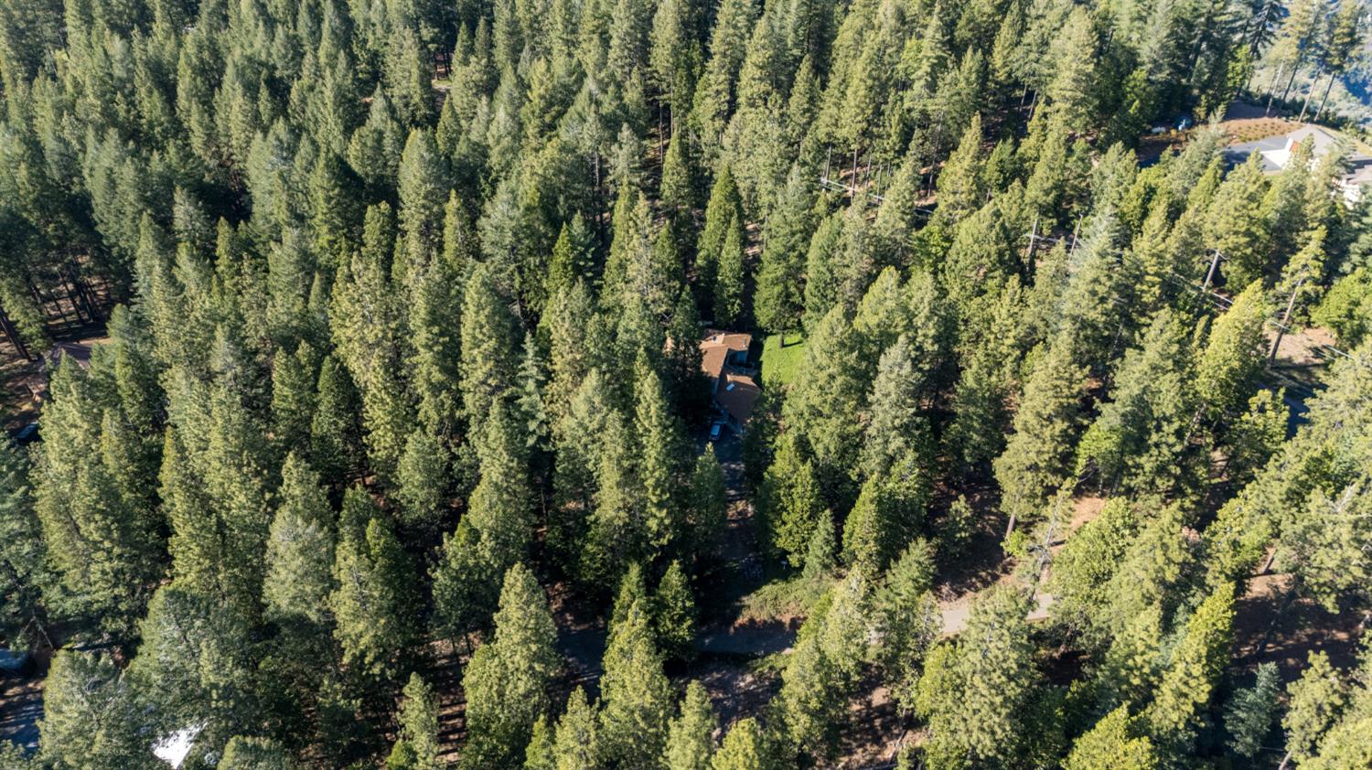 2070 King Of The Mountain Road Pollock Pines, CA 95726 - Photo 47 of 53 a view of a tree