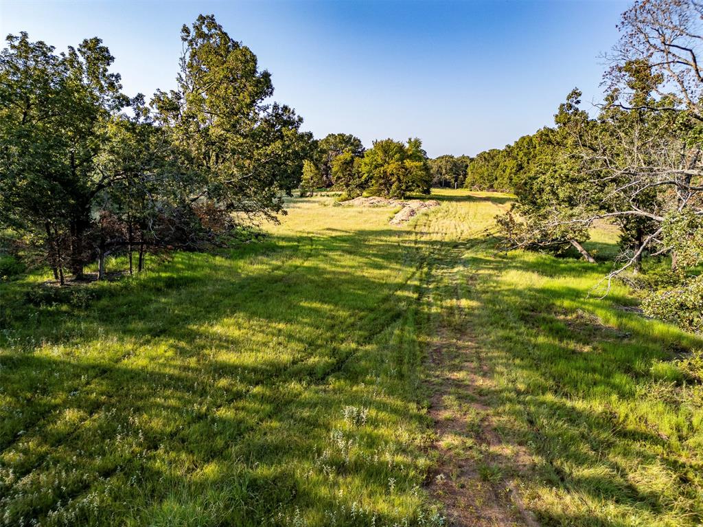 21574 Riva Ridge Tyler, TX 75704 - Photo 12 of 20 a view of a field with an trees