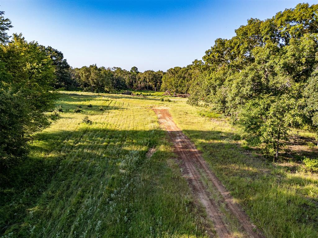 21574 Riva Ridge Tyler, TX 75704 - Photo 14 of 20 a view of a yard with swimming pool and green space