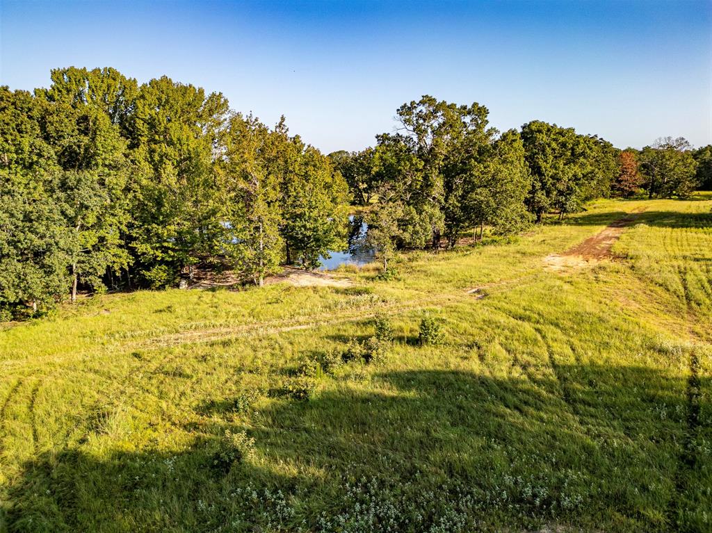 21574 Riva Ridge Tyler, TX 75704 - Photo 15 of 20