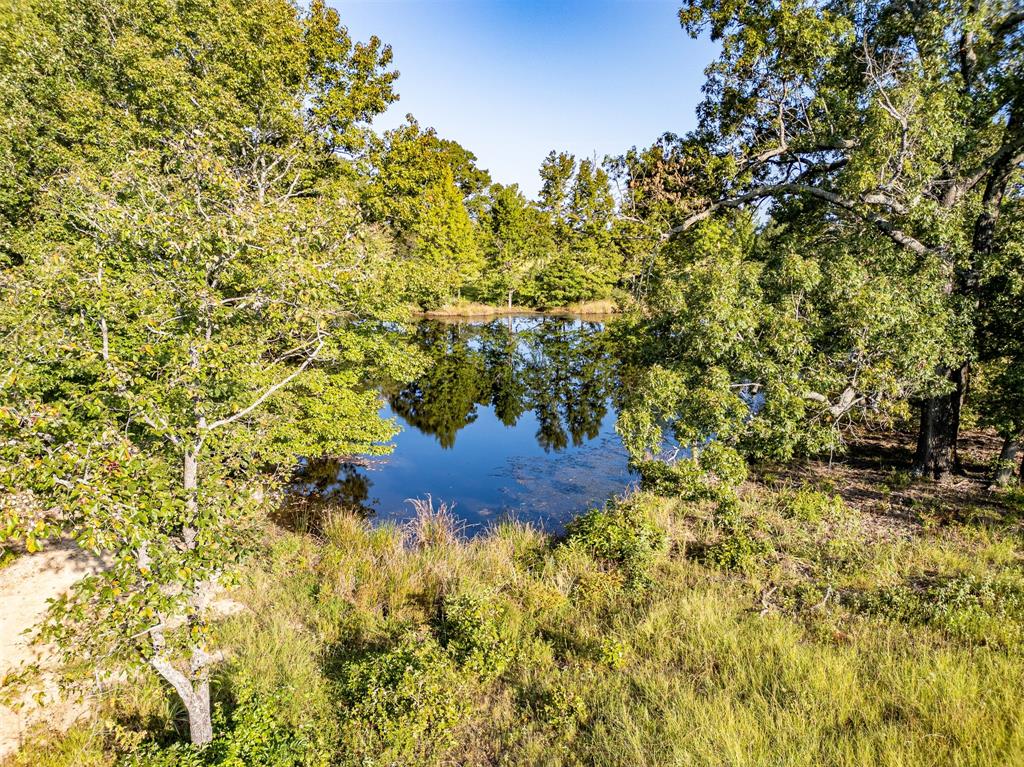 21574 Riva Ridge Tyler, TX 75704 - Photo 16 of 20 a view of a yard