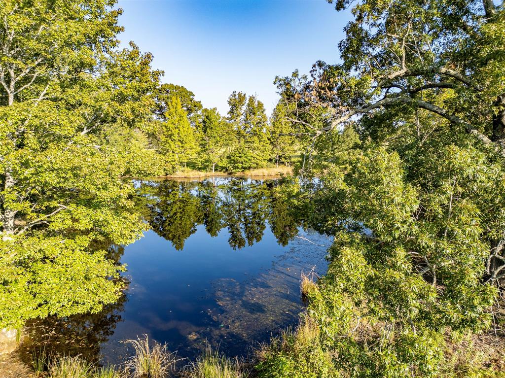 21574 Riva Ridge Tyler, TX 75704 - Photo 17 of 20 a view of a garden