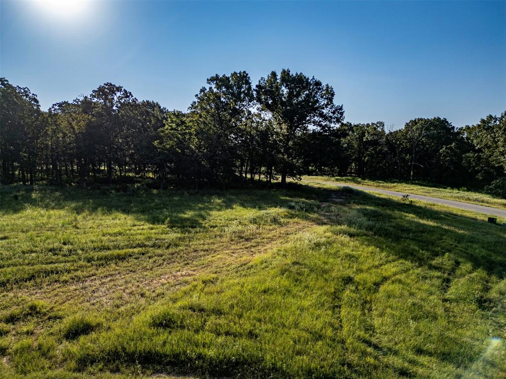 21574 Riva Ridge Tyler, TX 75704 - Photo 18 of 20 a view of a water pond with green space