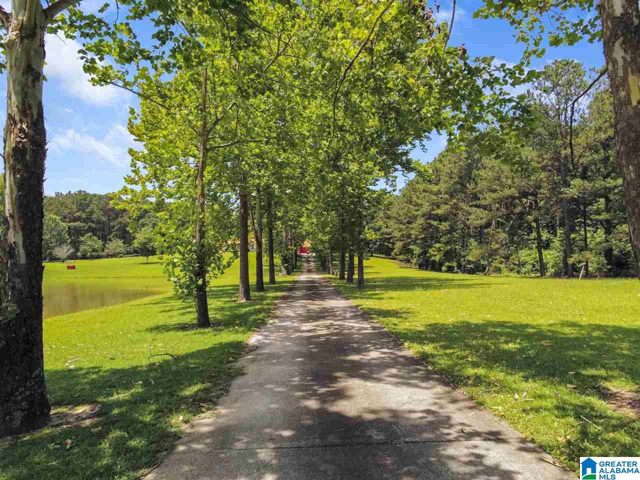 622 County Road 75 Clanton, AL 35045 - Photo 49 of 49