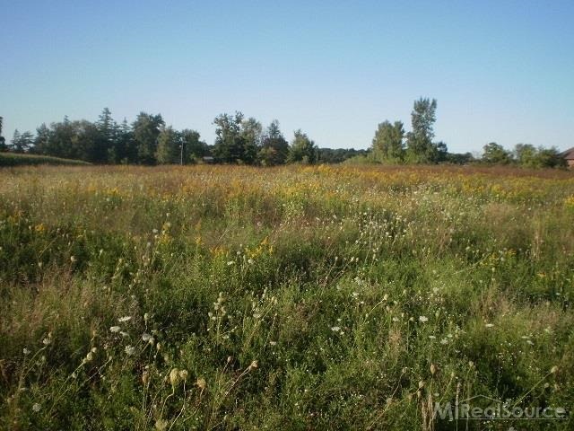 0 Metcalf Road Capac, MI 48014 - Photo 13 of 14