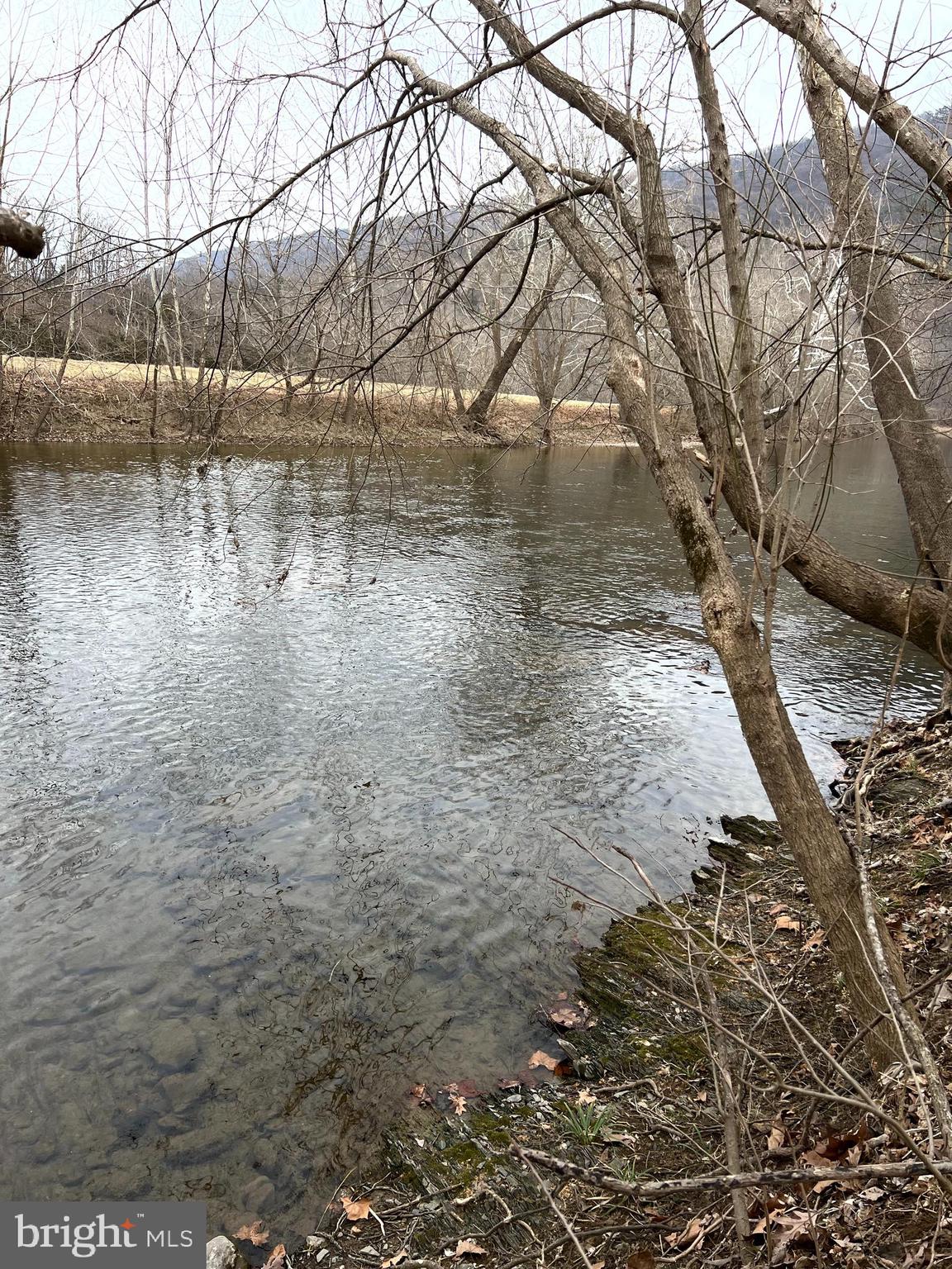 Deer Rapids Strasburg, VA 22657 - Photo 1 of 19 View of the mountains and river from lot