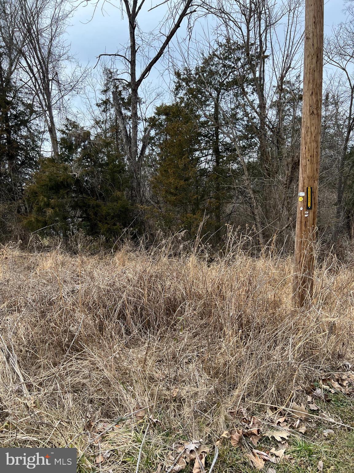 Deer Rapids Strasburg, VA 22657 - Photo 11 of 19 Electric Pole is on both corners