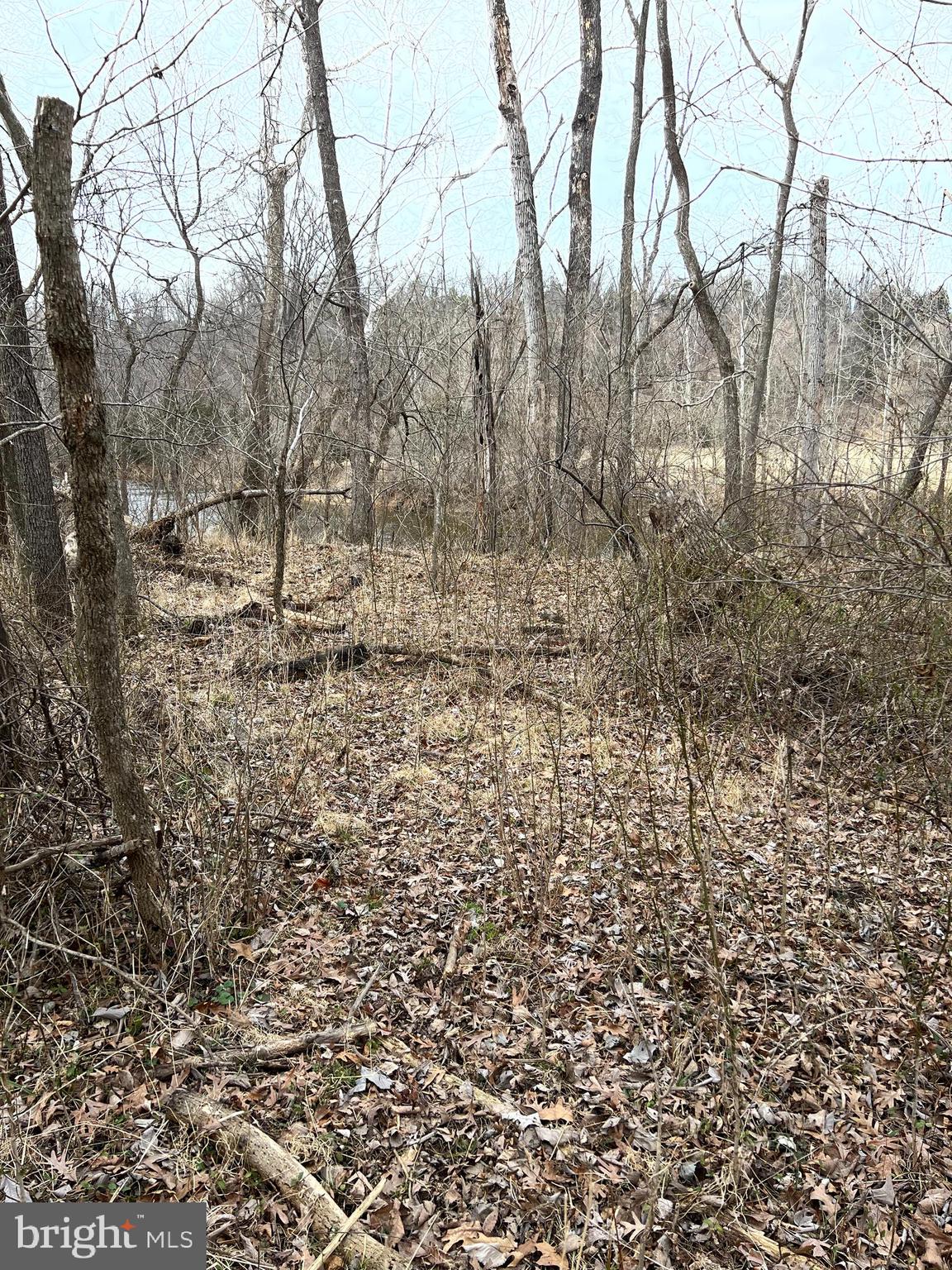 Deer Rapids Strasburg, VA 22657 - Photo 12 of 19 View of lot