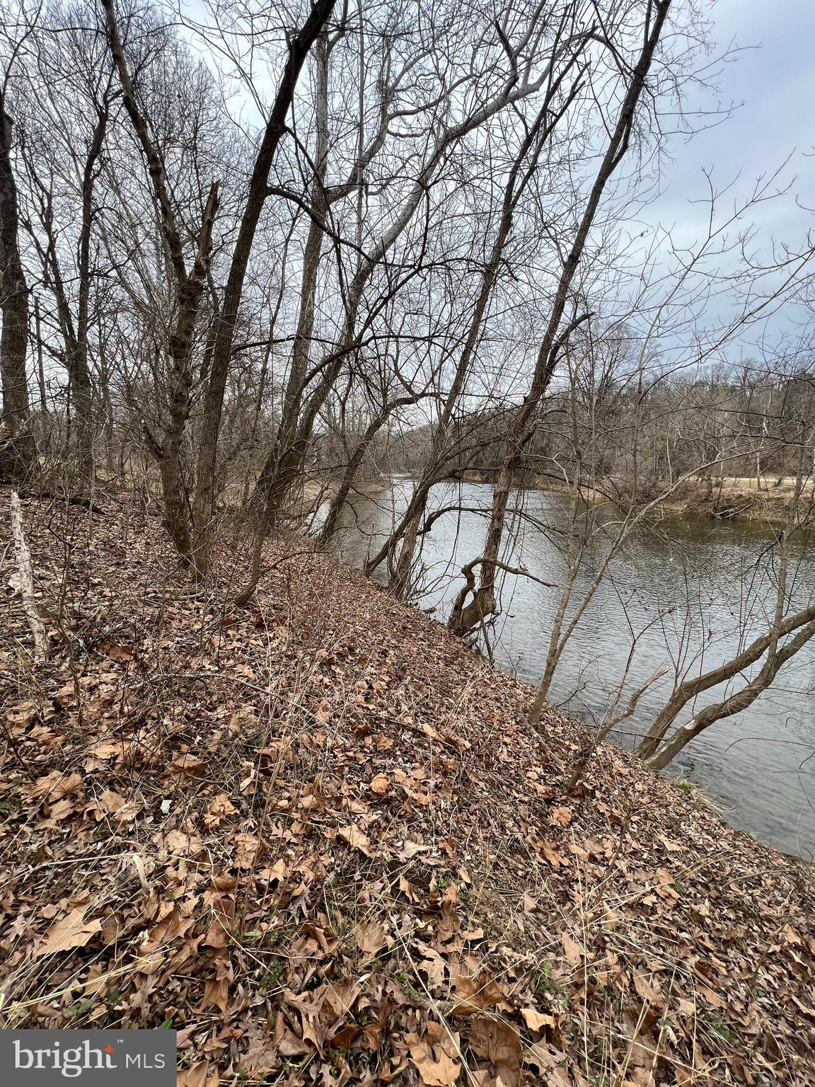 Deer Rapids Strasburg, VA 22657 - Photo 14 of 19 Slight embankment