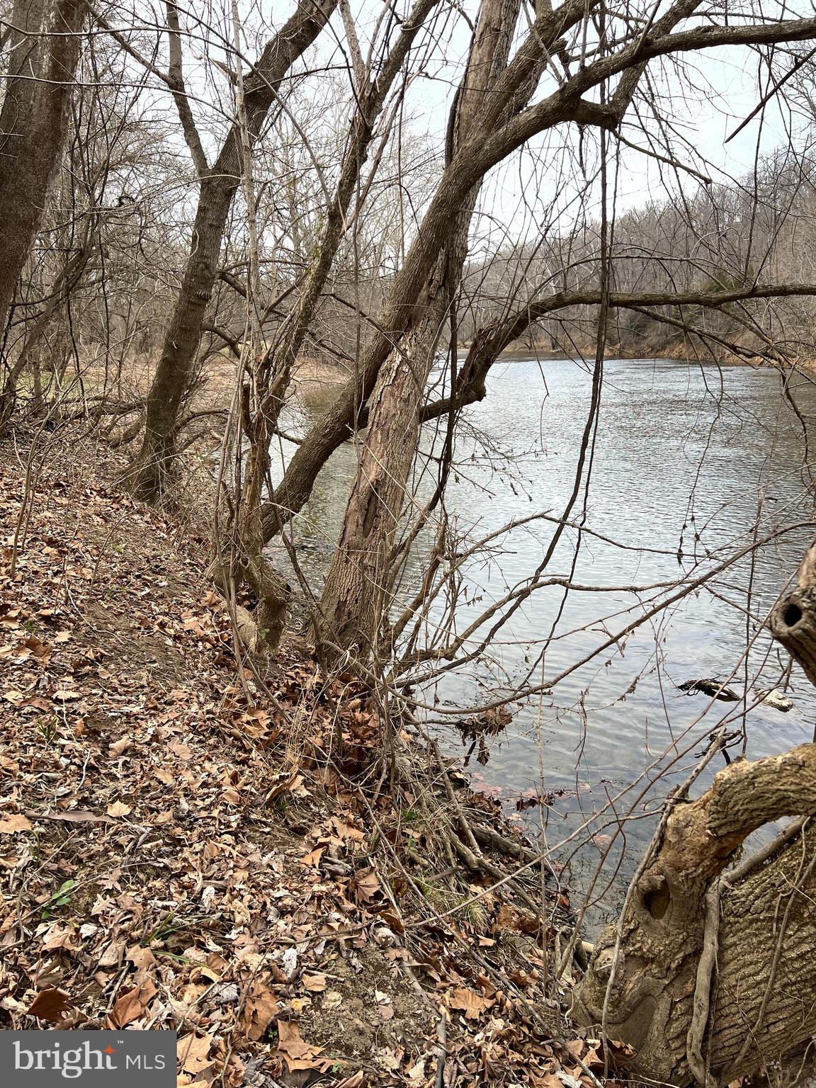 Deer Rapids Strasburg, VA 22657 - Photo 15 of 19 Slight embankment going to the river