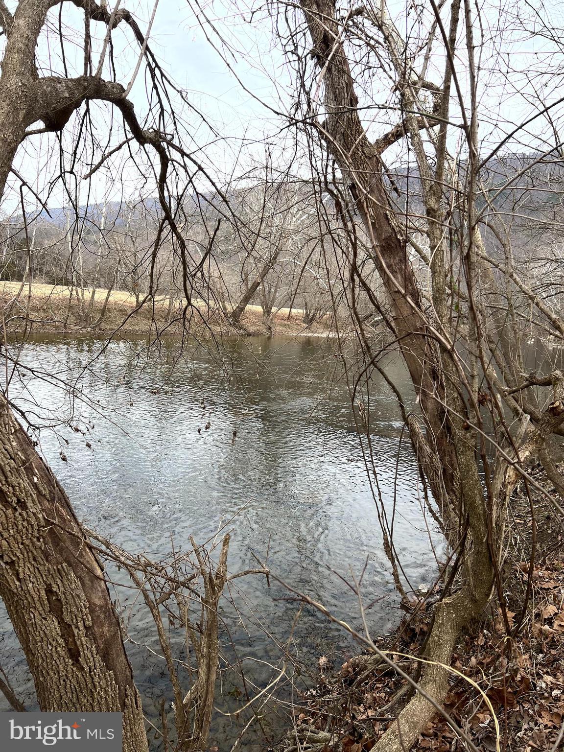 Deer Rapids Strasburg, VA 22657 - Photo 16 of 19 View of the river from the lot
