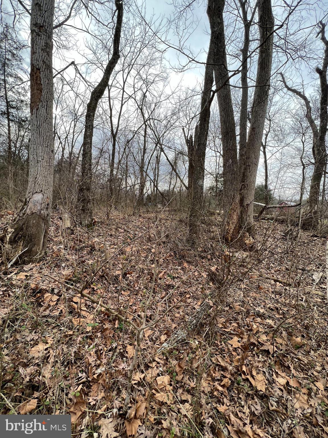 Deer Rapids Strasburg, VA 22657 - Photo 18 of 19 View