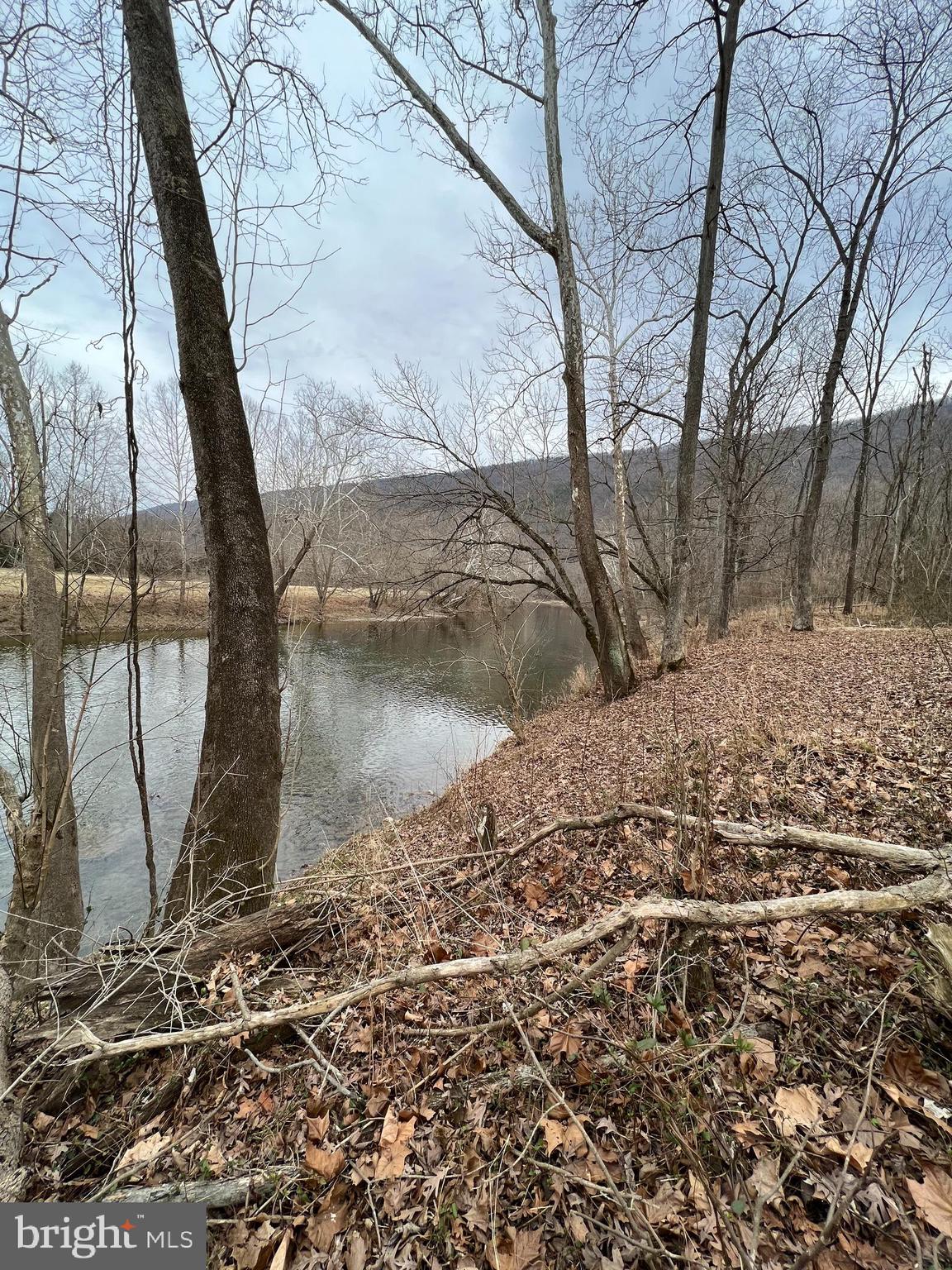Deer Rapids Strasburg, VA 22657 - Photo 3 of 19 View from the lot