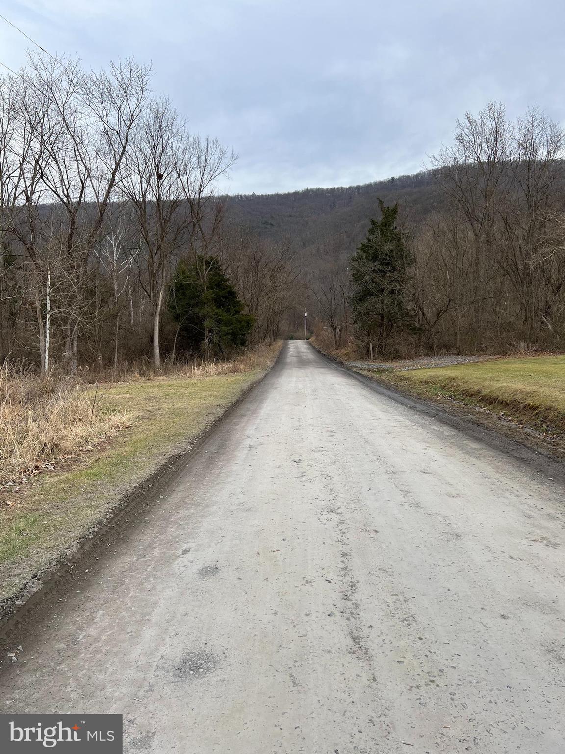 Deer Rapids Strasburg, VA 22657 - Photo 8 of 19 View of Road leaving the lot