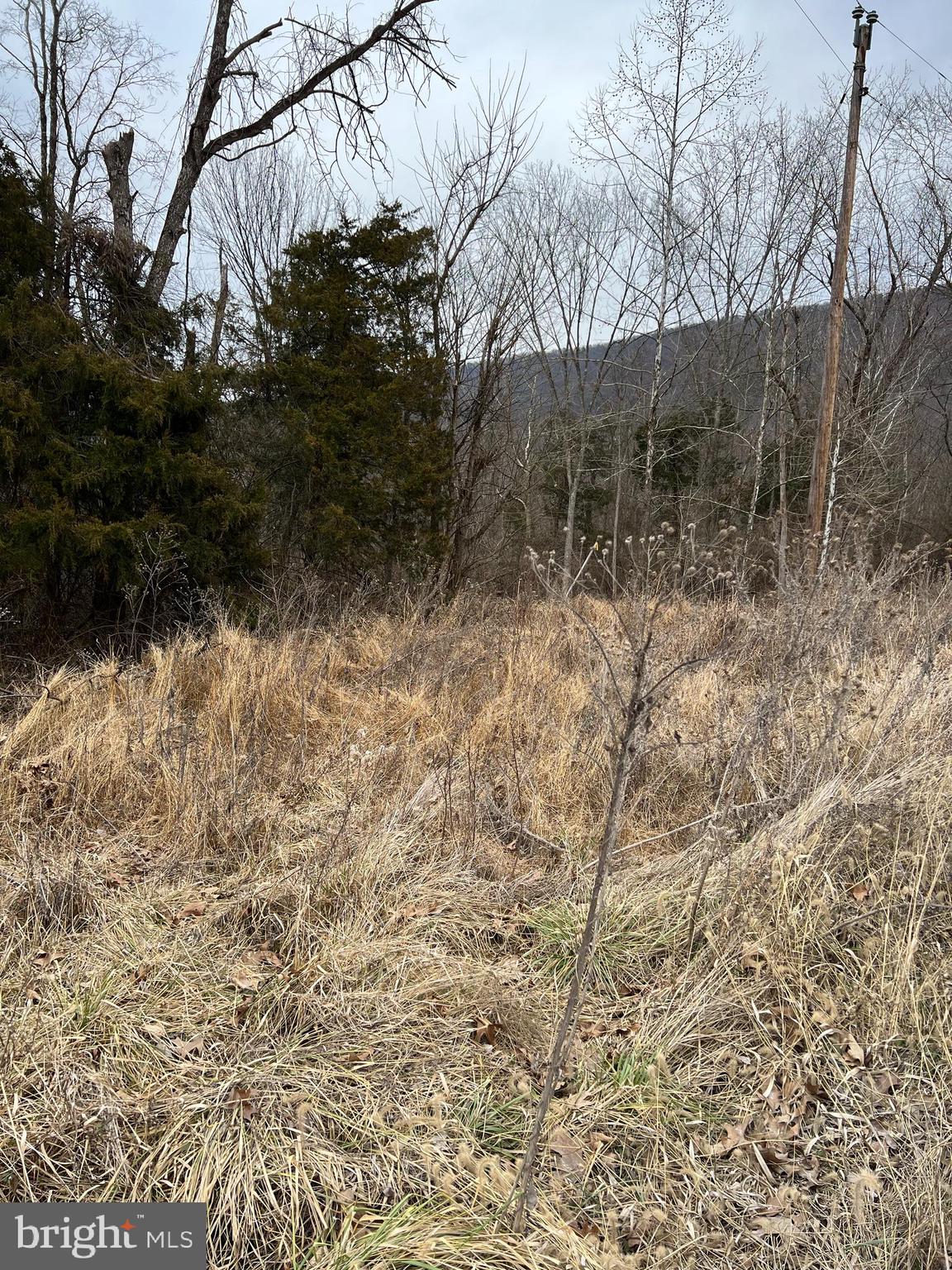 Deer Rapids Strasburg, VA 22657 - Photo 10 of 19 View of lot