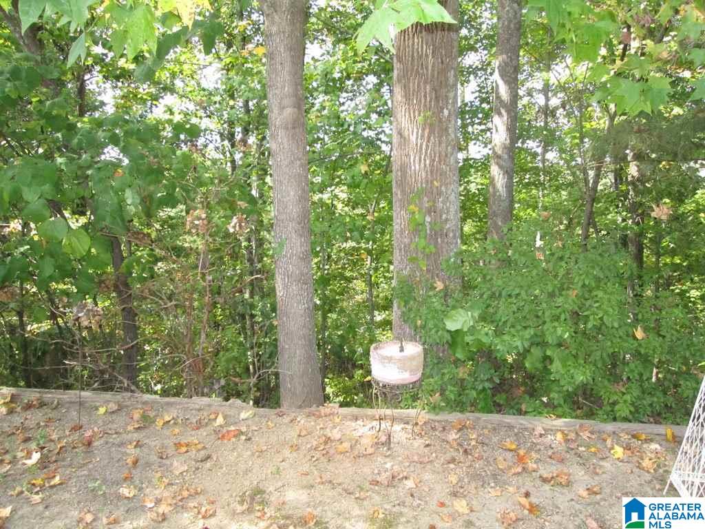 1243 Berwick Road, Unit 109 Birmingham, AL 35242 - Photo 34 of 34