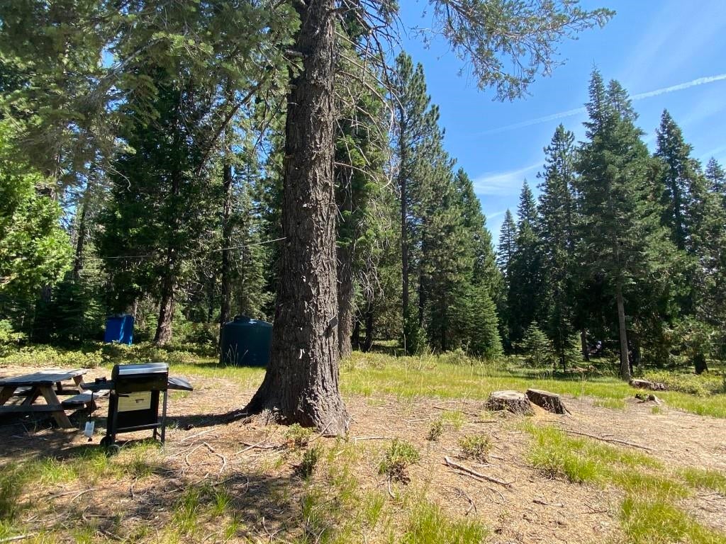 3-e-44 Red Fir Road McCloud, CA 96057 - Photo 12 of 32 Gallery Image 12