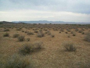 Eloy Road Kingman, AZ 86413 - Photo 1 of 1 Primary Photo