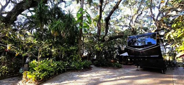 a view of a bench in a garden