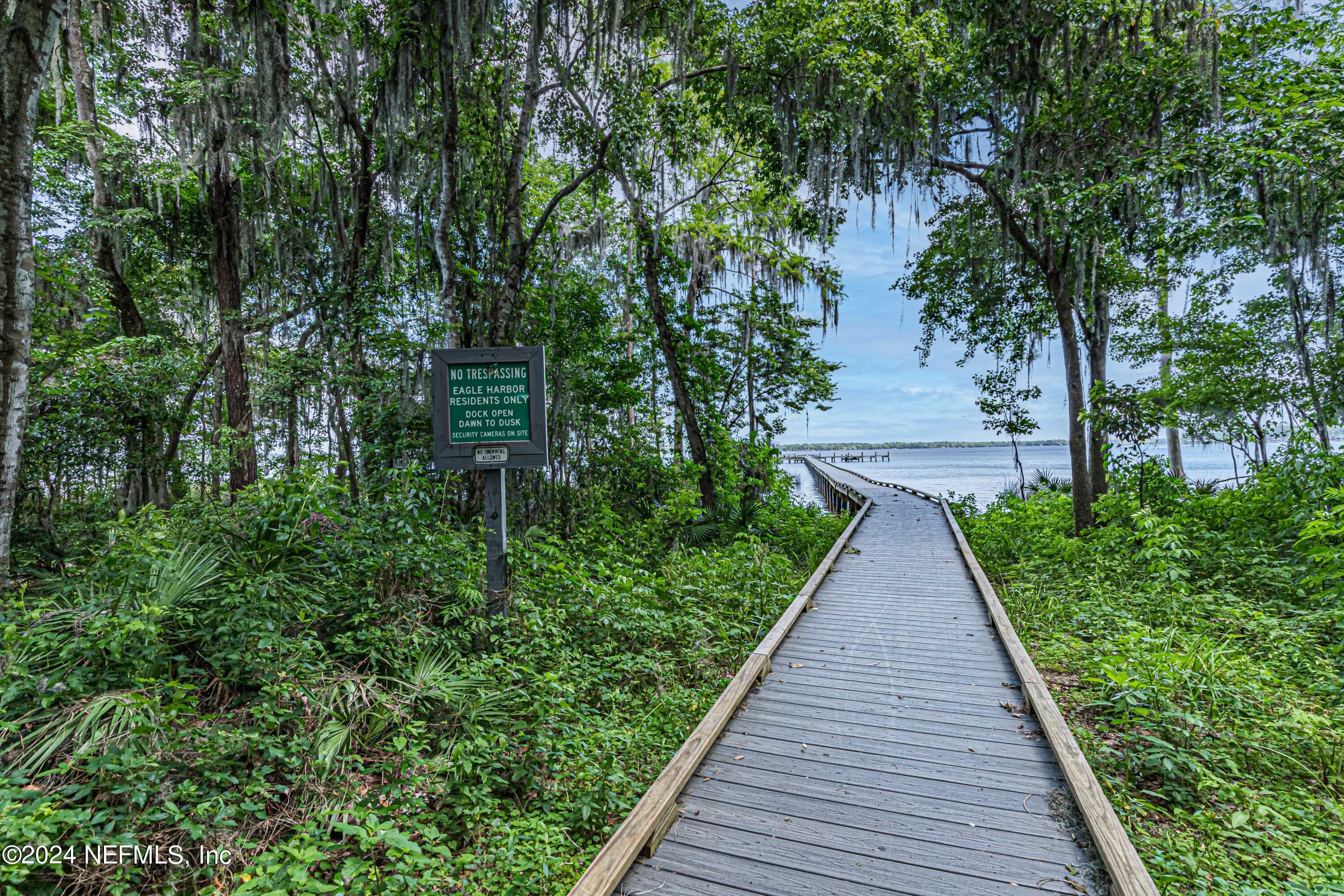 2032 Rivergate Drive Fleming Island, FL 32003 - Photo 84 of 120 a view of a backyard with potted plants and large trees