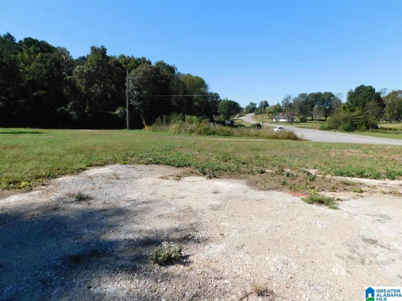 0 Highway 231, Unit 1 Oneonta, AL 35121 - Photo 5 of 6