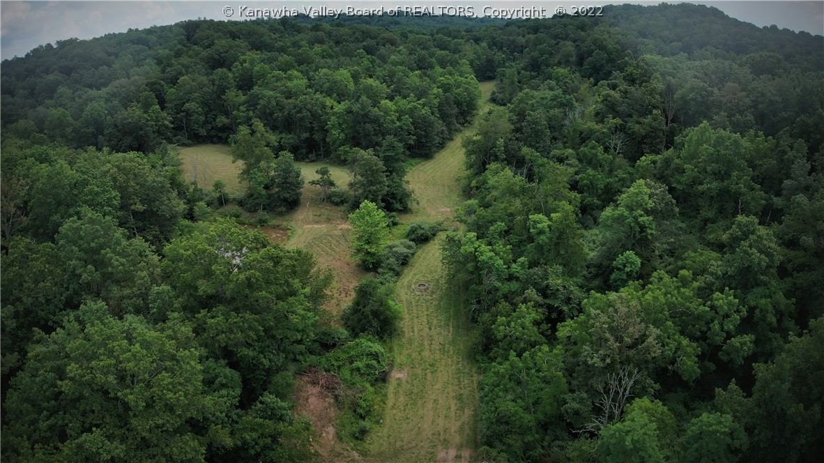 0 Nine Nine Mile Road Southside, WV 25187 - Photo 13 of 14 Gallery Image 13
