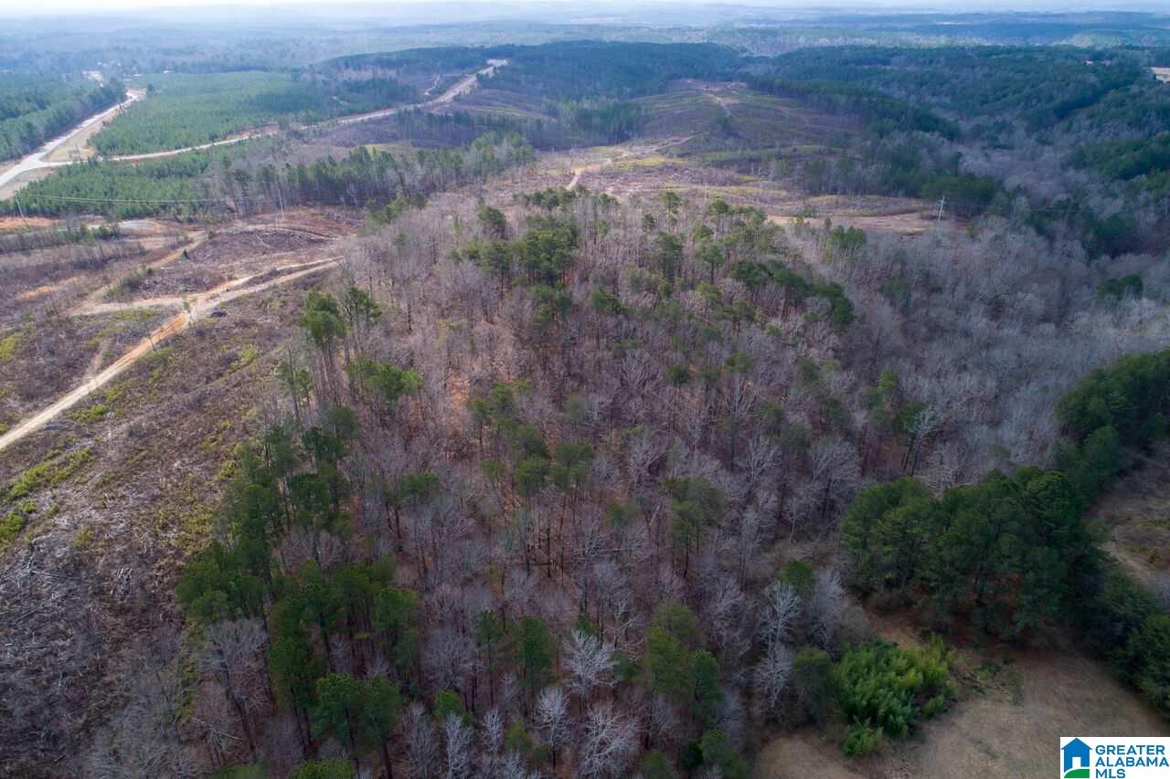 8430 Taylors Ferry Road Bessemer, AL 35023 - Photo 38 of 41