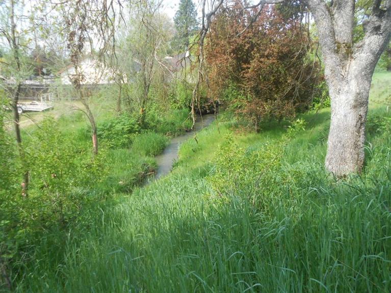 2875 Lone Pine Road Medford, OR 97504 - Photo 5 of 8 view of creek through property