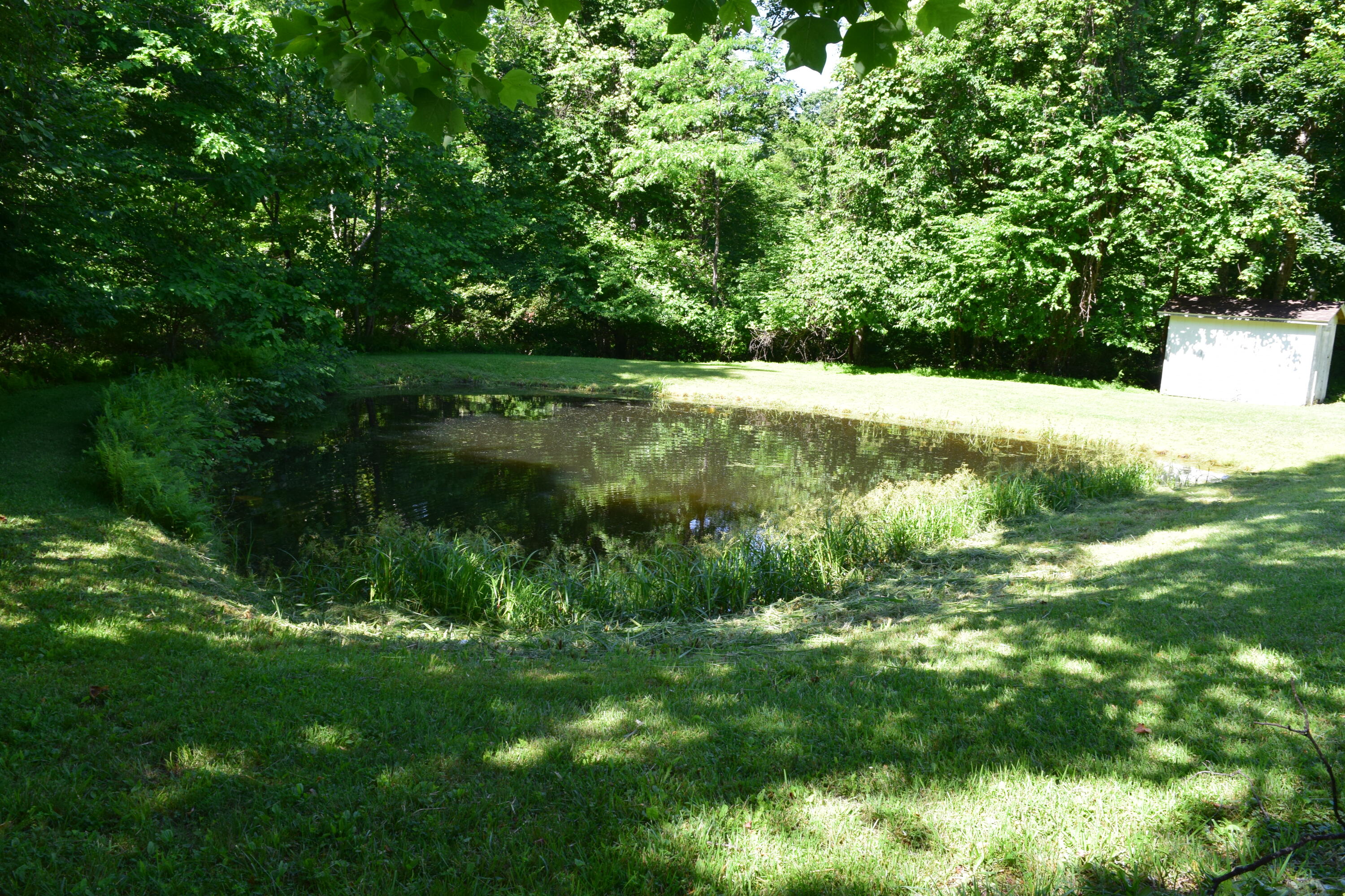812 Conner Grove Road Southwest Willis, VA 24380 - Photo 10 of 87 DSC_0012