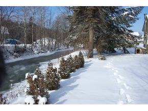 110 East River Road Lincoln, VT 05443 - Photo 6 of 6
