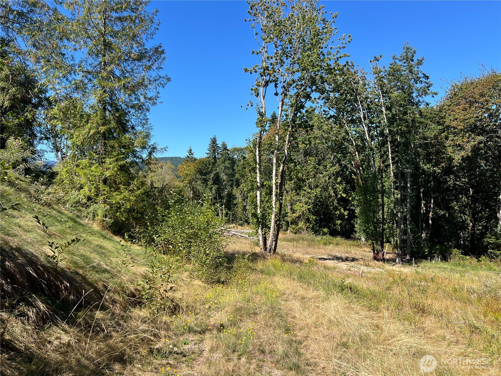 480 State Rte 20 Port Townsend, WA 98368 - Photo 5 of 14