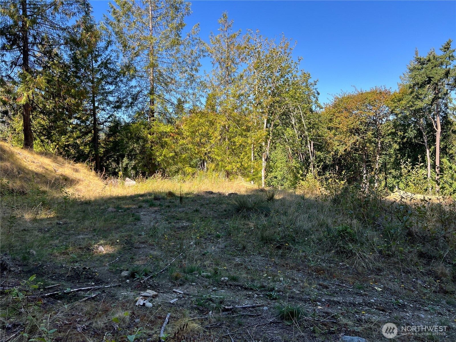 480 State Rte 20 Port Townsend, WA 98368 - Photo 6 of 14