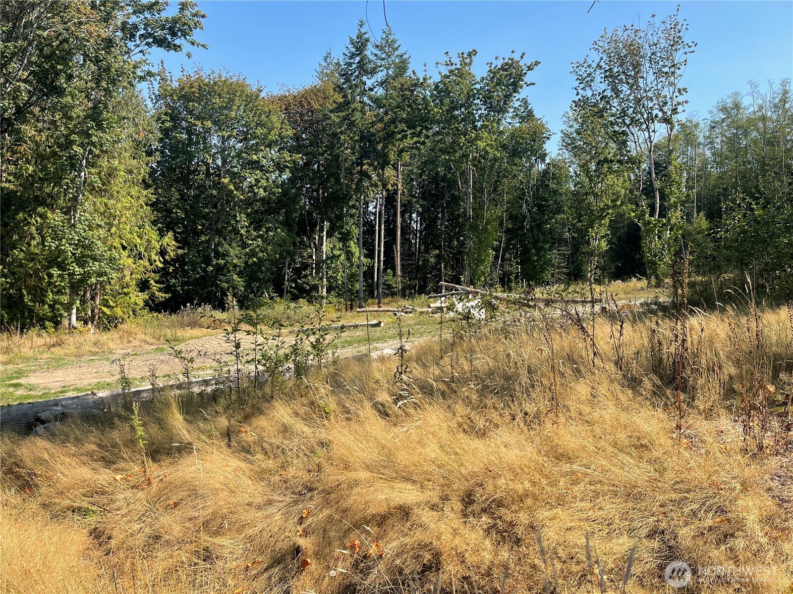 480 State Rte 20 Port Townsend, WA 98368 - Photo 10 of 14