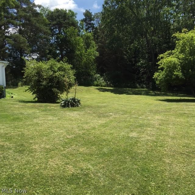 1572 Bellflower Road Minerva, OH 44657 - Photo 10 of 13 Side yard view