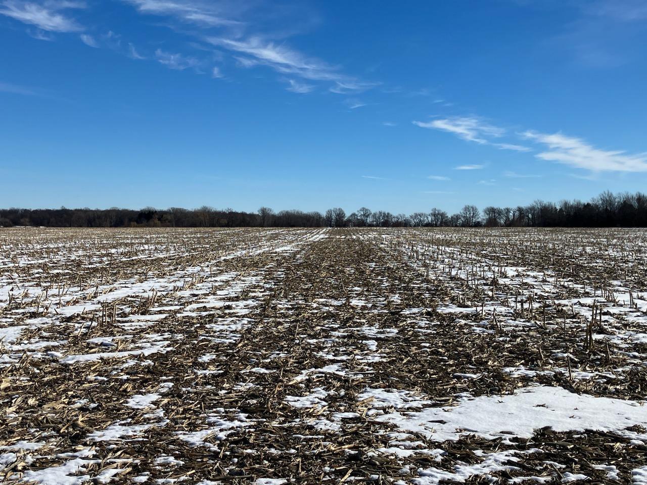 0 Grade School Road Poplar Grove, IL 61065 - Photo 8 of 10