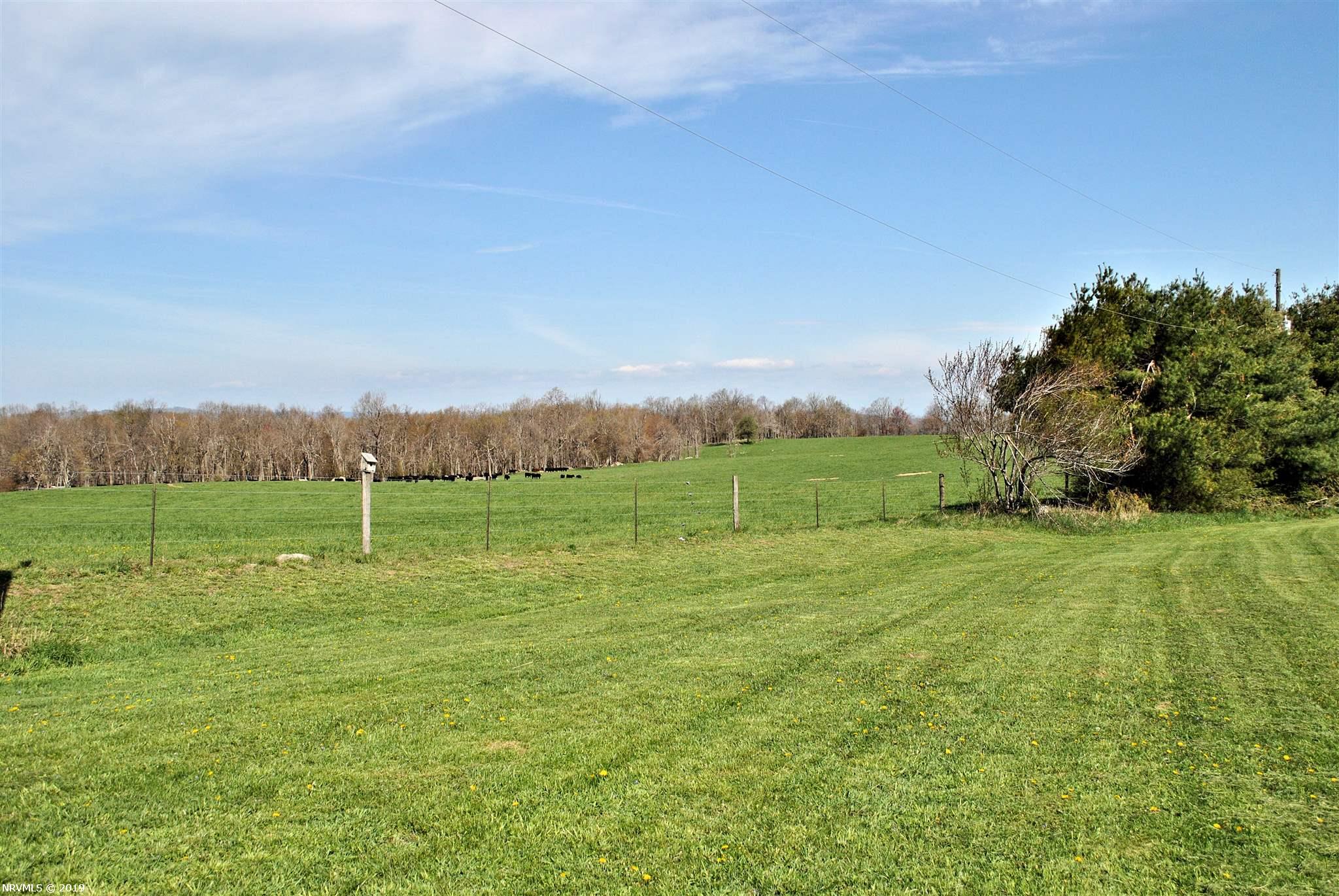2954 Black Ridge Road Southwest Floyd, VA 24091 - Photo 63 of 68 Gallery Image 63