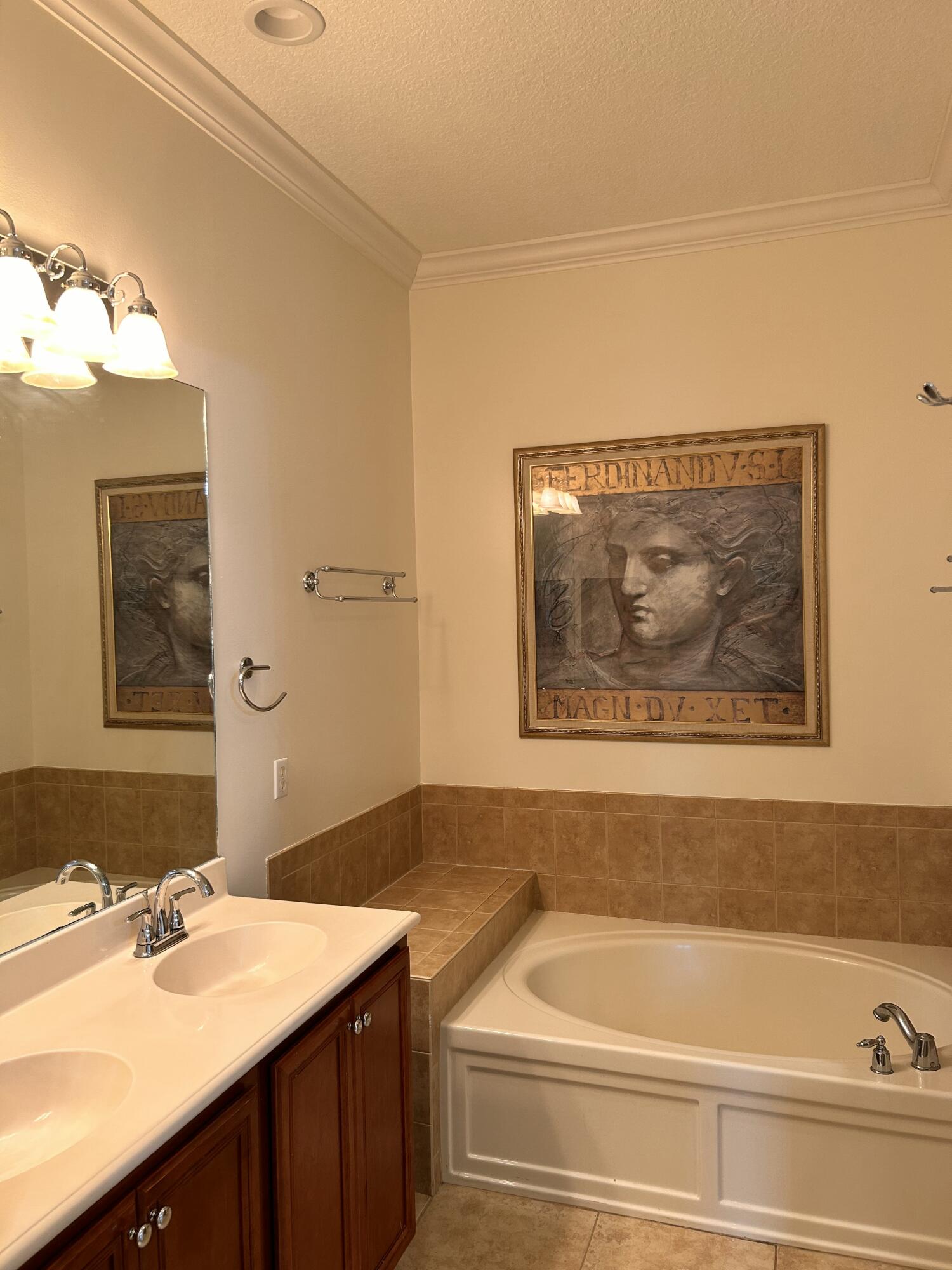 134 Ennis Lane Jupiter, FL 33458 - Photo 10 of 19 a bathroom with a sink a bathtub and a mirror