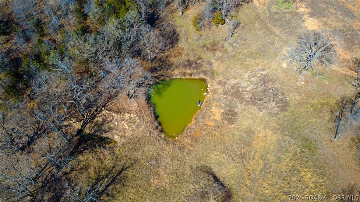 5 Dry Hollow Road Camdenton, MO 65020 - Photo 6 of 38 Pond on property