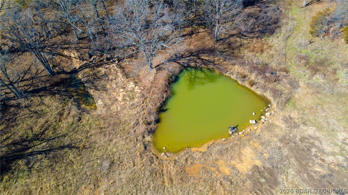 5 Dry Hollow Road Camdenton, MO 65020 - Photo 7 of 38 Pond on property