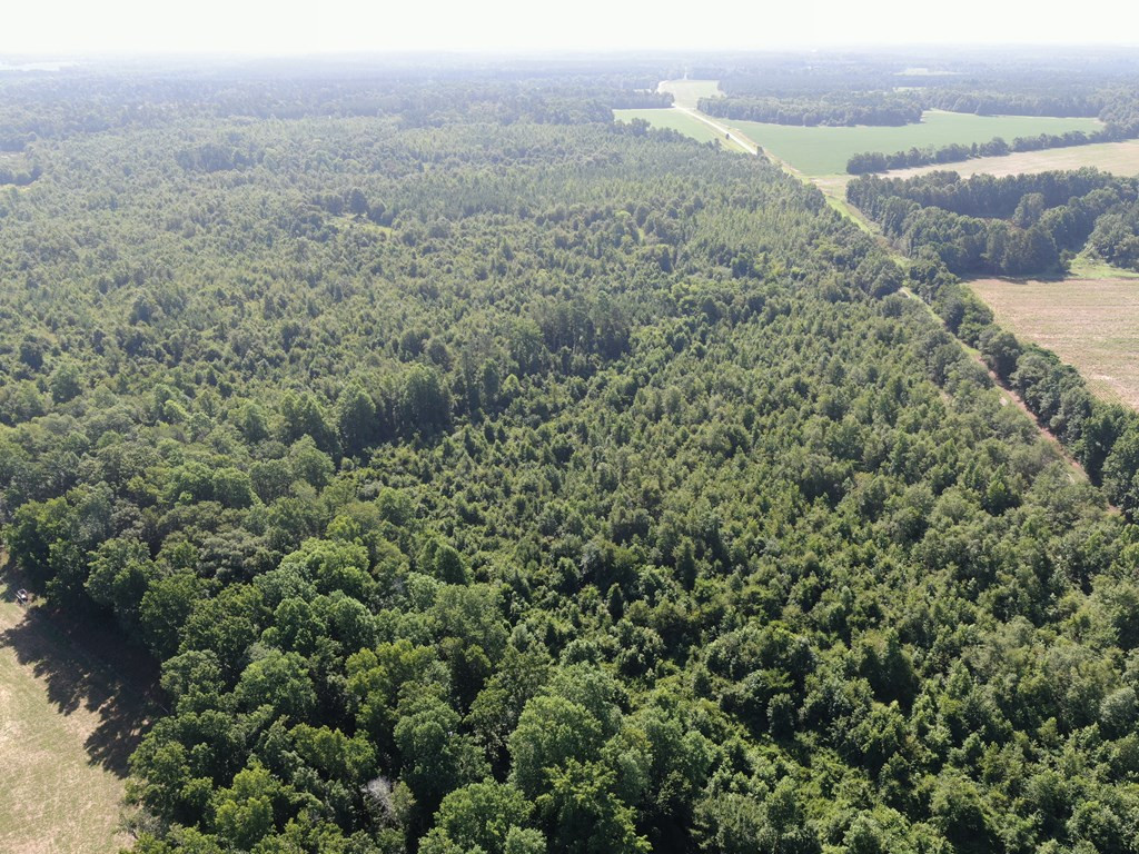 0 Story Mill Road Waynesboro, GA 30830 - Photo 5 of 8