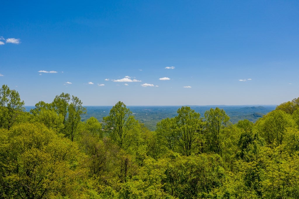 14 Hawks Ridge Trail Fancy Gap, VA 24328 - Photo 70 of 75 Gallery Image 70