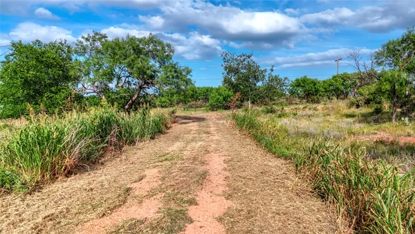 a view of a pathway with a yard