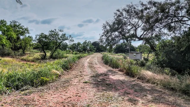 a big yard with lots of green space