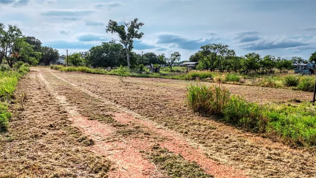a view of a yard with plants