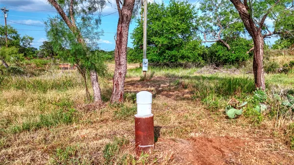 a fire hydrant in the middle of a forest
